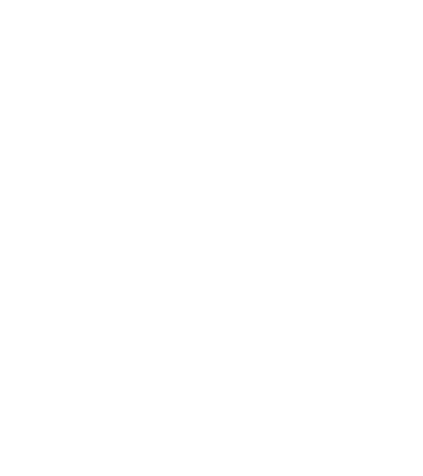 Zidarul model gri pe tricou