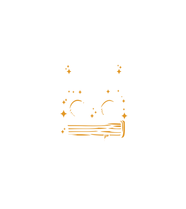 Cel mai bun profesor istorie model negru pe tricou
