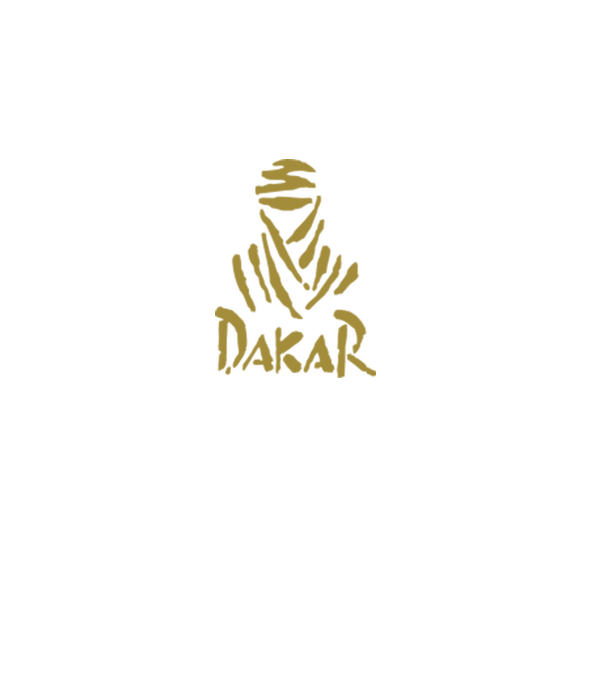 Dakar Rally model gri pe tricou