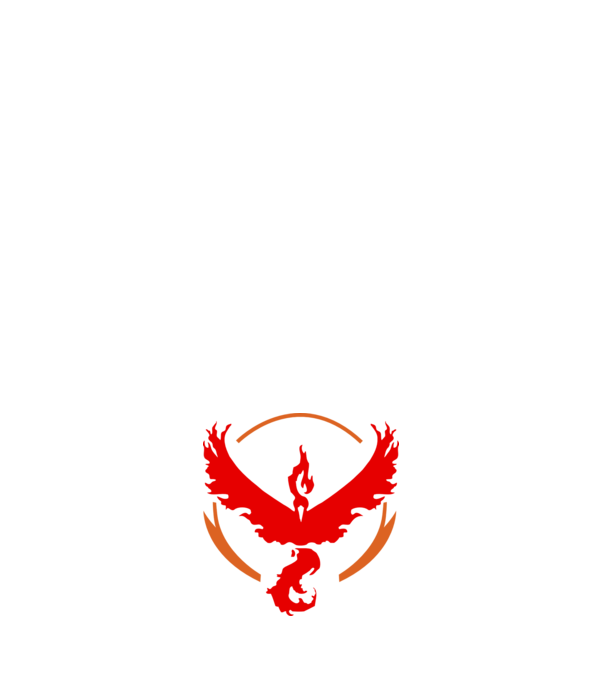 Valor team logo model alb pe tricou