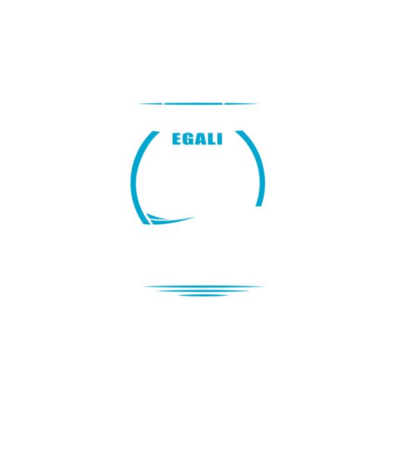Toți bărbații se nasc egali camioane model negru pe tricou