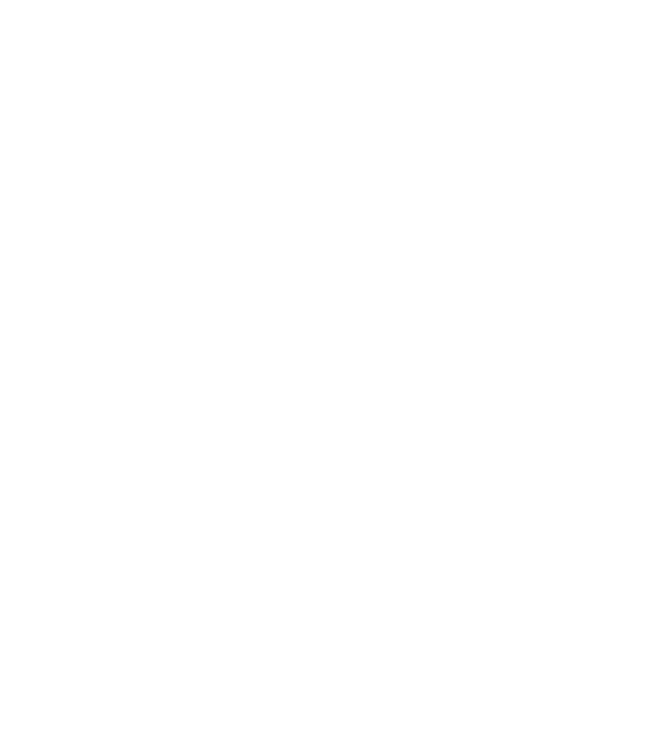 Nașul model bordo pe tricou