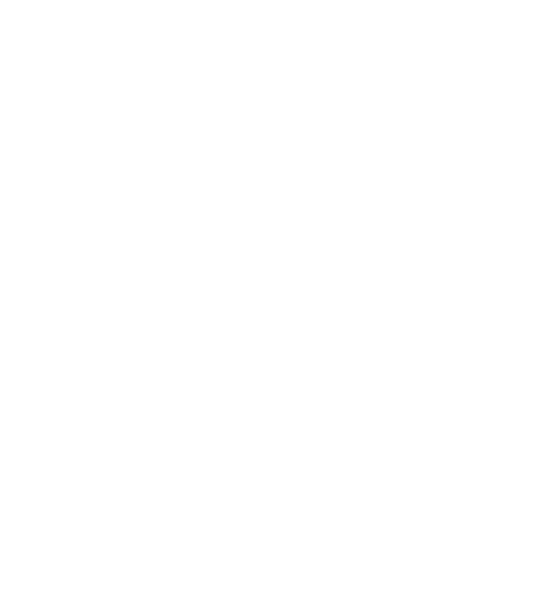 Crazy Cat Ladies are born in April model negru pe tricou