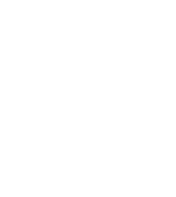 I do my own stunts model negru pe tricou