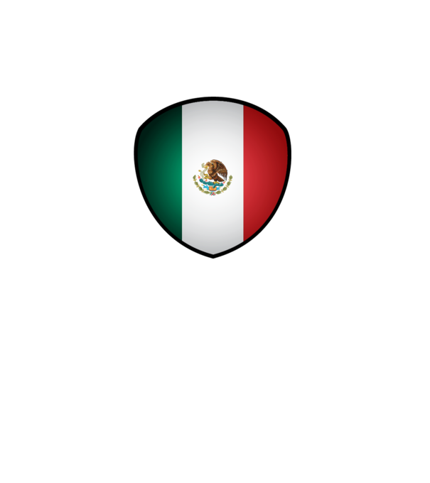 MEX-jabulani-flag model gri pe tricou
