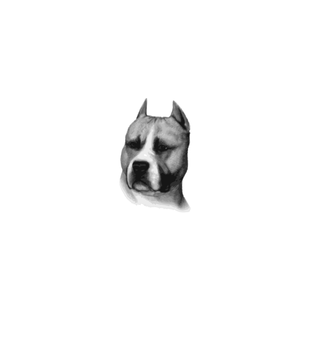 Staffordshire Terrier model alb pe tricou