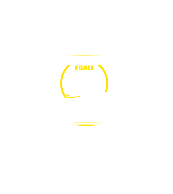 Toți bărbații se nasc egali născuți să cânte la chitară model negru pe tricou