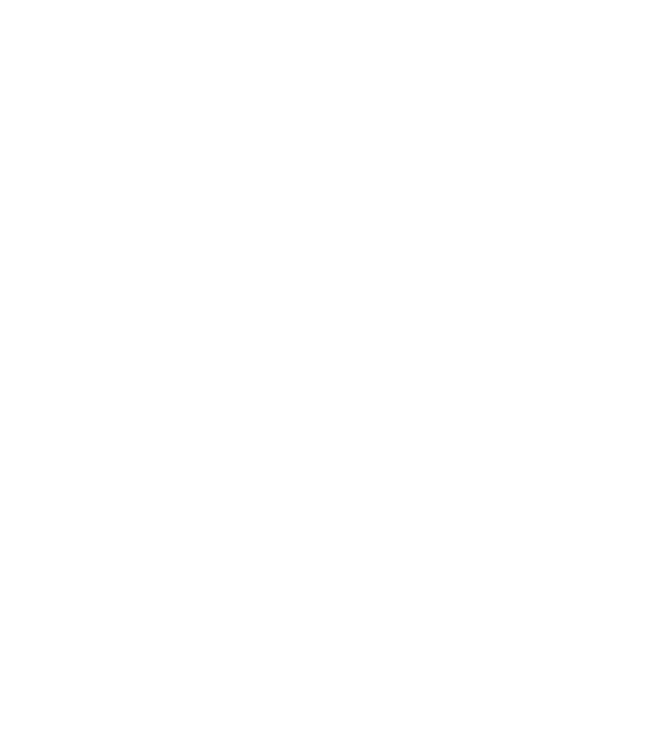All men are created equal but only the best are born in august model verde neon pe tricou
