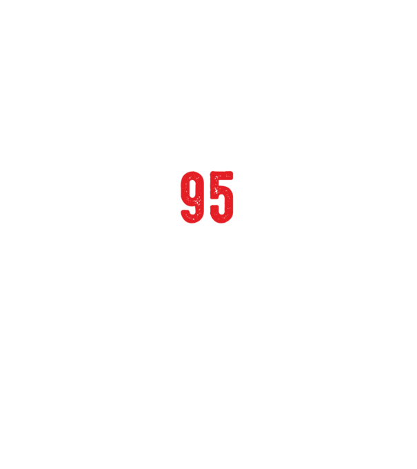 Purtătorul acestui tricou a împlinit: 95 de ani model negru pe tricou