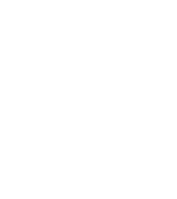 Box evoluție model gri pe tricou