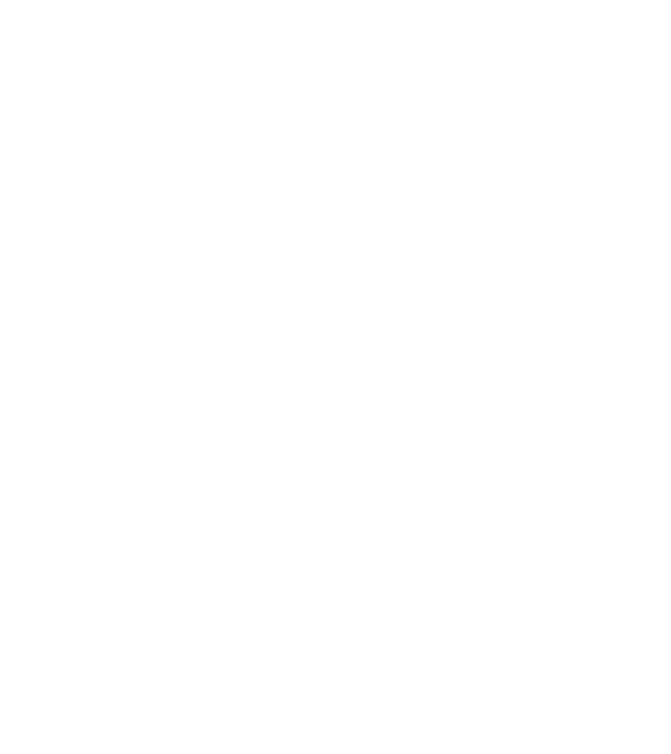 demodog logo model negru pe tricou