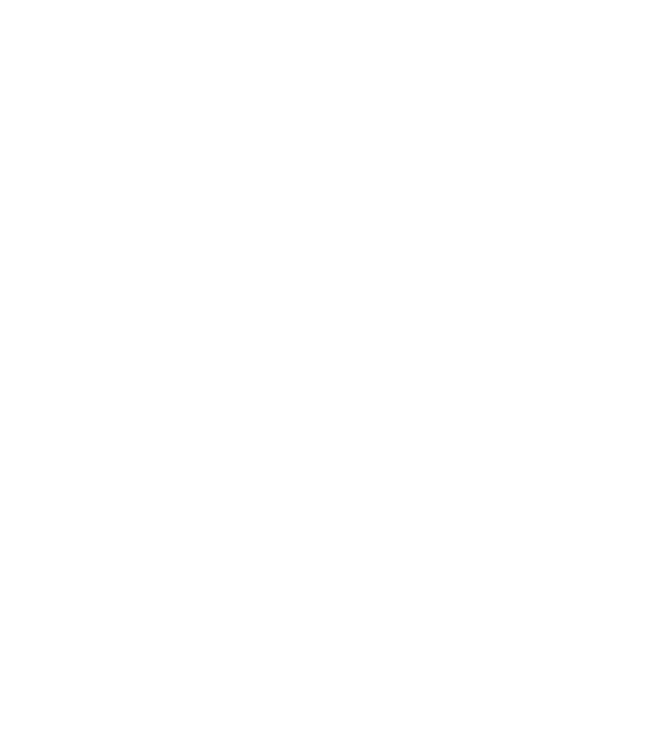 W.I.F.E. model negru pe tricou