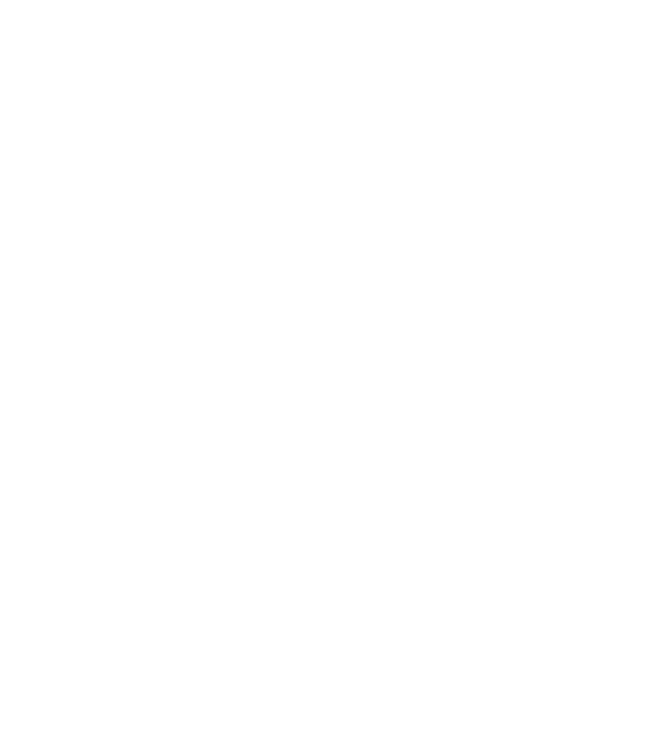 Heartbeat silueta Bolognese model turcoaz pe tricou