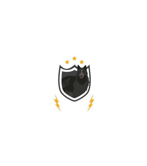 serviciu de securitate - securitate - persistență - 24 de ore pe zi model gri pe tricou