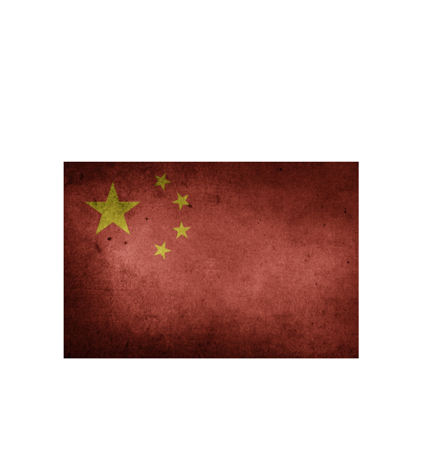CHINA model alb pe tricou