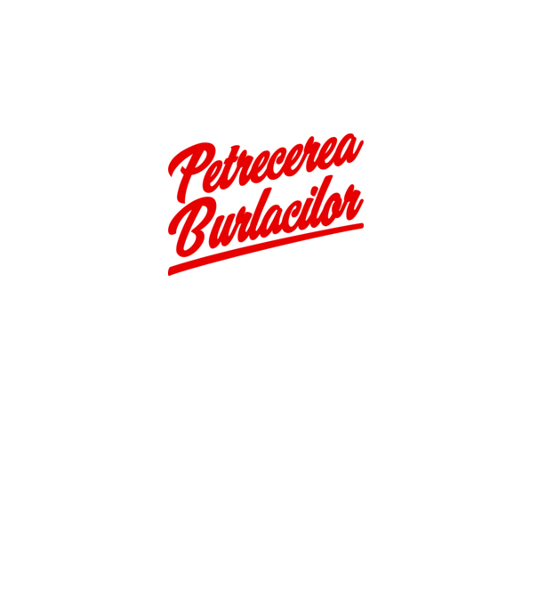 petrecerea burlăcițelor model gri pe tricou