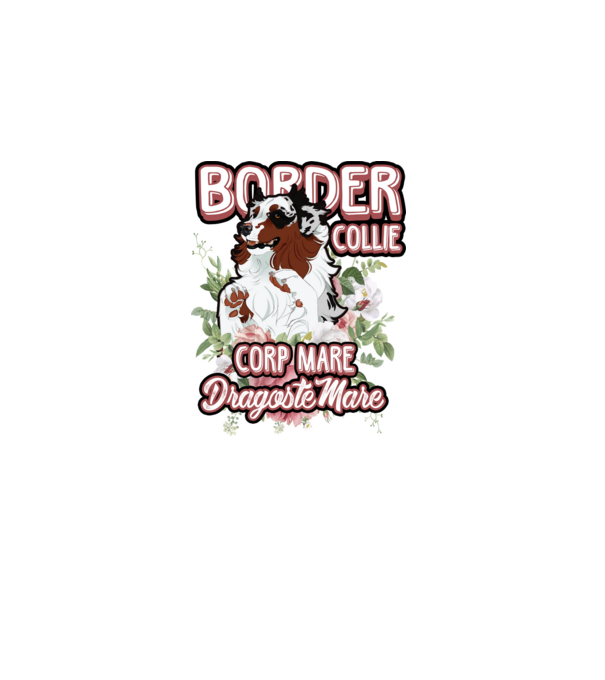 border collie - multă blană multă dragoste model alb pe tricou