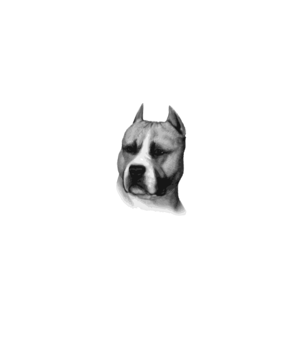 Staffordshire Terrier model alb pe tricou