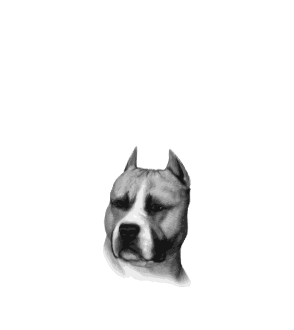 Staffordshire Terrier model alb pe tricou
