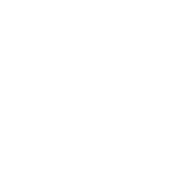 Dog Year - 140 model albastru regal pe tricou