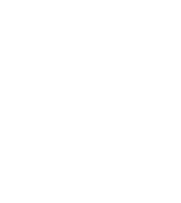 Mr. model negru pe tricou