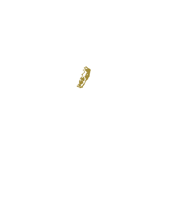 King in the north 2c model negru pe tricou
