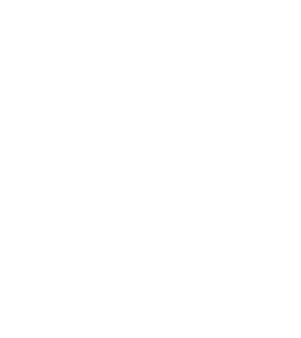 W.I.F.E. model negru pe tricou