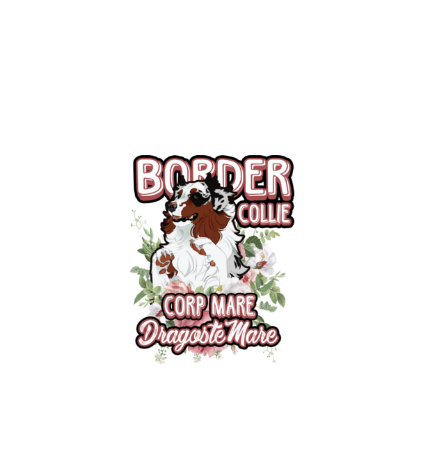 border collie - multă blană multă dragoste model alb pe tricou
