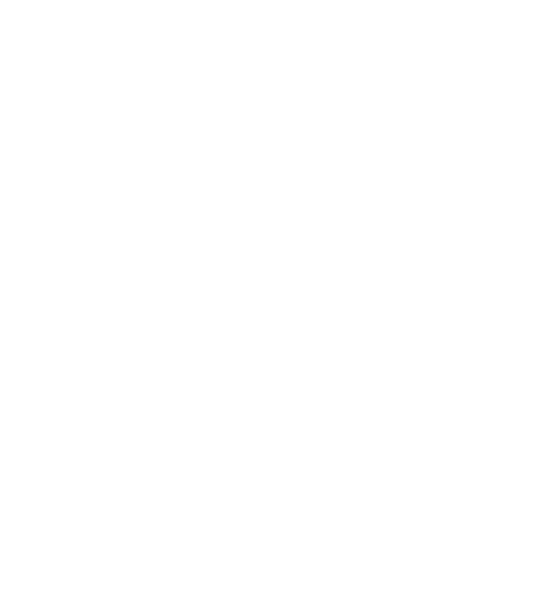 România Dracula 2 model negru pe tricou