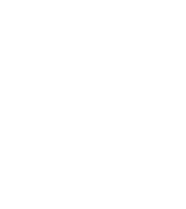 numaidoar trap model alb pe tricou