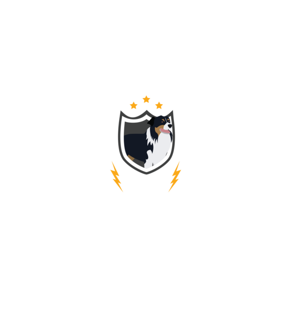 serviciu de securitate - securitate - persistență - 24 de ore pe zi model negru pe tricou
