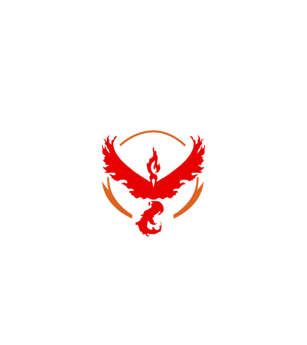 Valor team logo model alb pe tricou