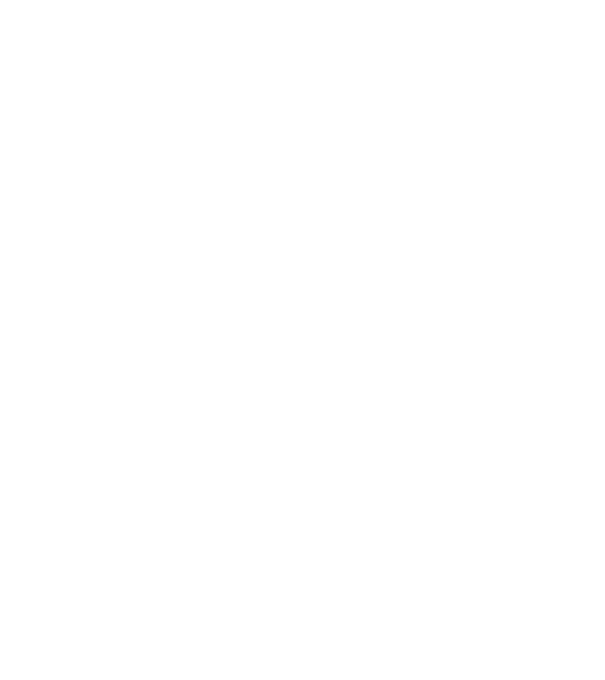 champions train model gri închis pe tricou