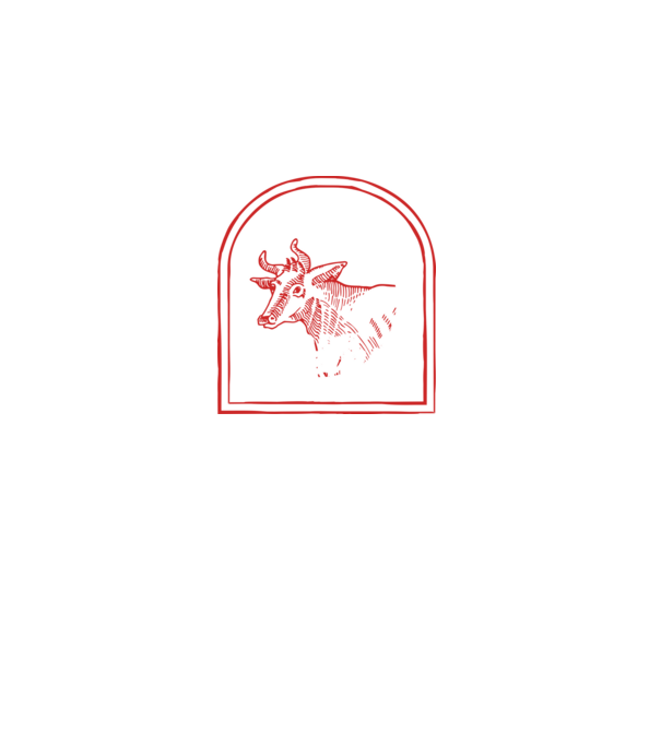 Festival BBQ - cu tata în grădina din spate! model negru pe tricou