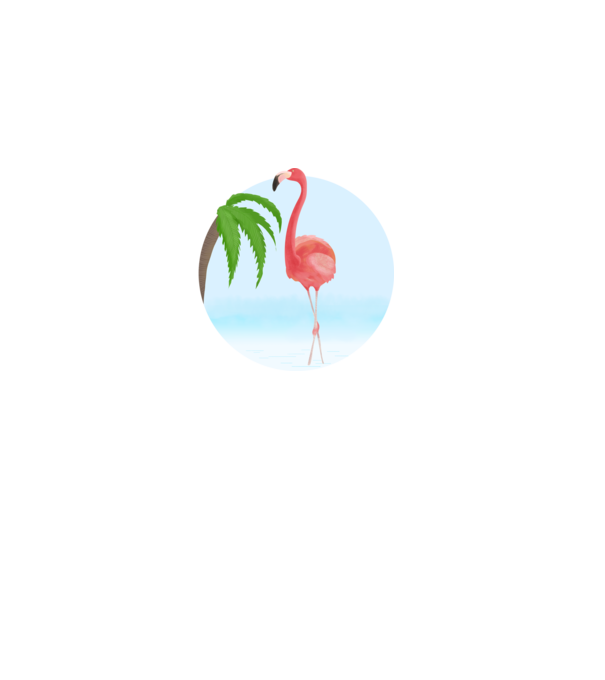 Flamingo model alb pe tricou