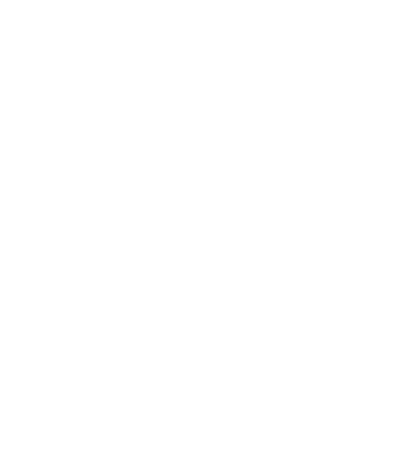 Crazy Cat Ladies are born in January model turcoaz pe tricou