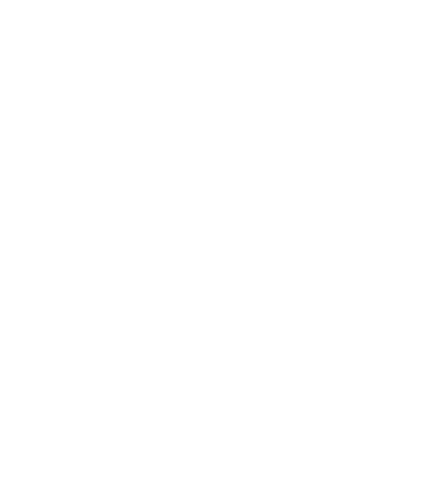 Bunicdidas model alb pe tricou
