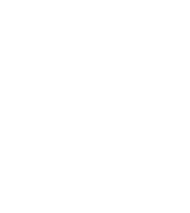 Bug fixed model negru pe tricou