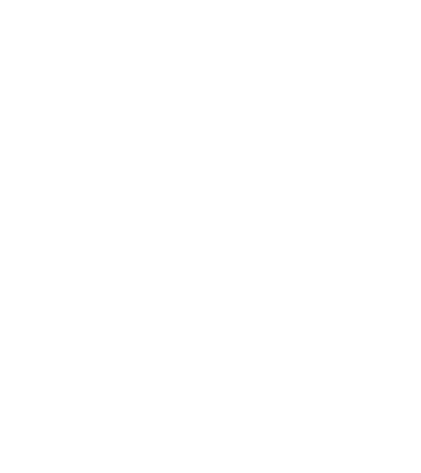 Crazy Cat Ladies are born in January model negru pe tricou