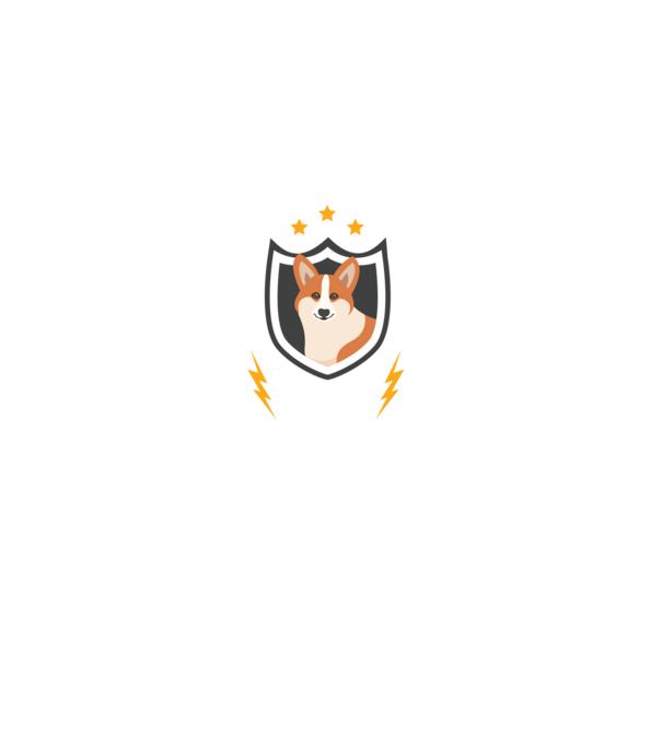serviciu de securitate - securitate - persistență - 24 de ore pe zi model negru pe tricou