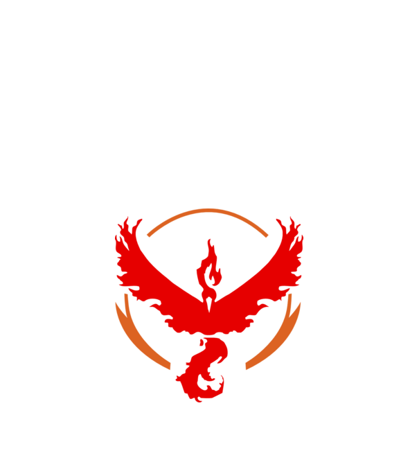 Valor team logo model alb pe tricou
