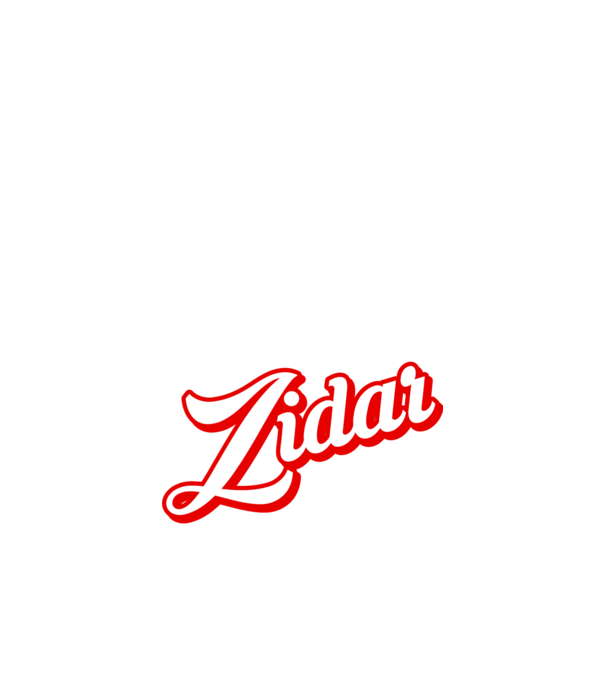 Cel mai bun ZIDAR din lume model negru pe tricou