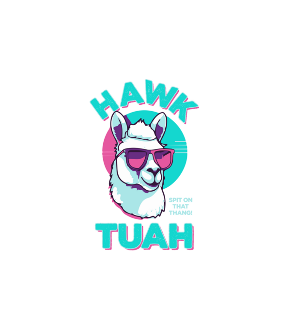 Hawk tuah llama retro sunglasses model alb pe tricou