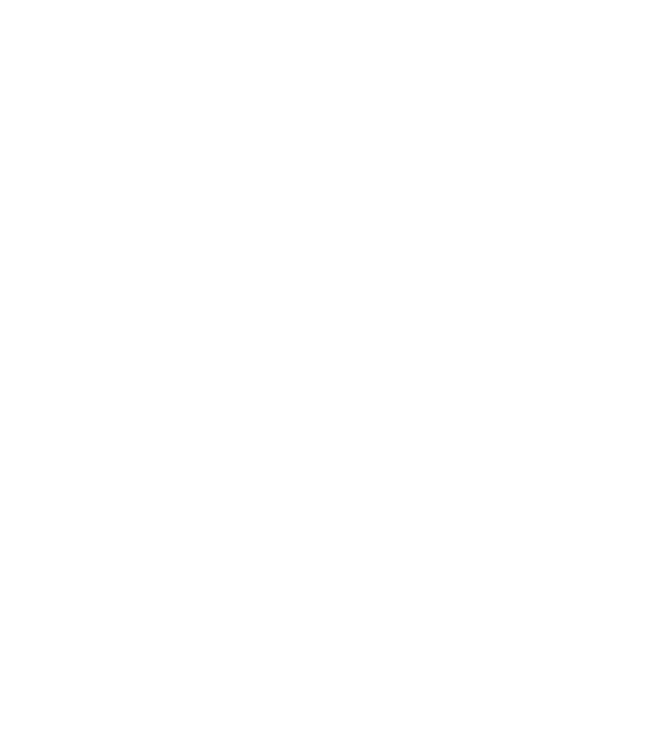 Dog Year - 140 model albastru regal pe tricou