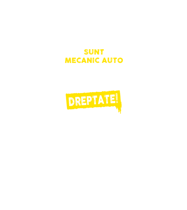 sunt MECANIC AUTO, pentru a economisi timp, să reținem că am întotdeauna dreptate model negru pe tricou