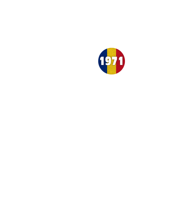 made in 1971 retro vintage model negru pe tricou