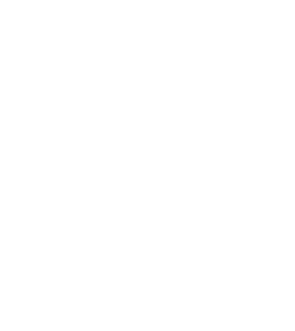 Cei mai buni au gemeni model negru pe tricou
