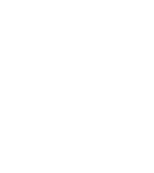 Crazy Cat Ladies are born in April model negru pe tricou