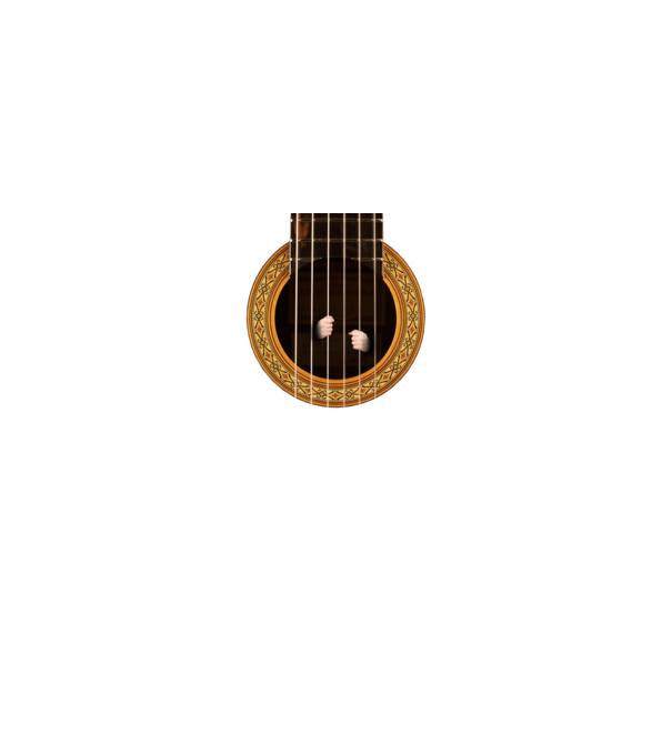Guitar prison model negru pe tricou