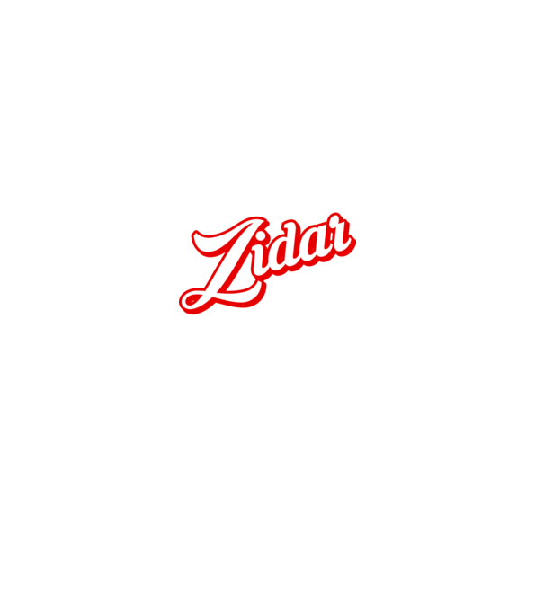 Cel mai bun ZIDAR din lume model negru pe tricou